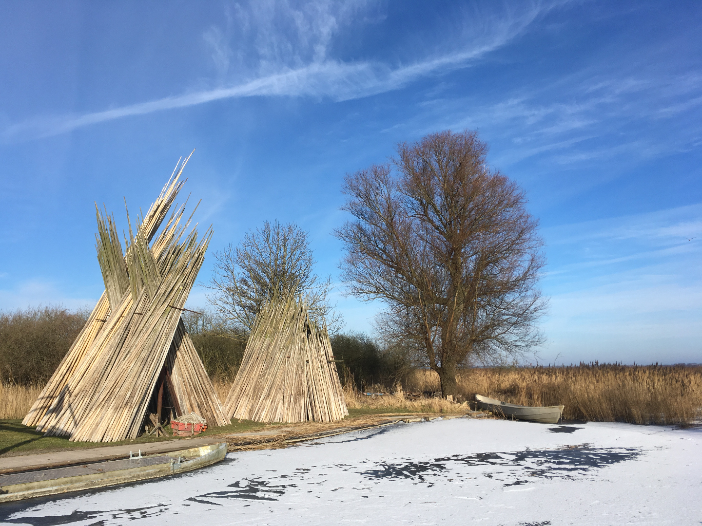 Winterliche Seenlandschaft mit Schilf – Symbol für strategische Weitsicht